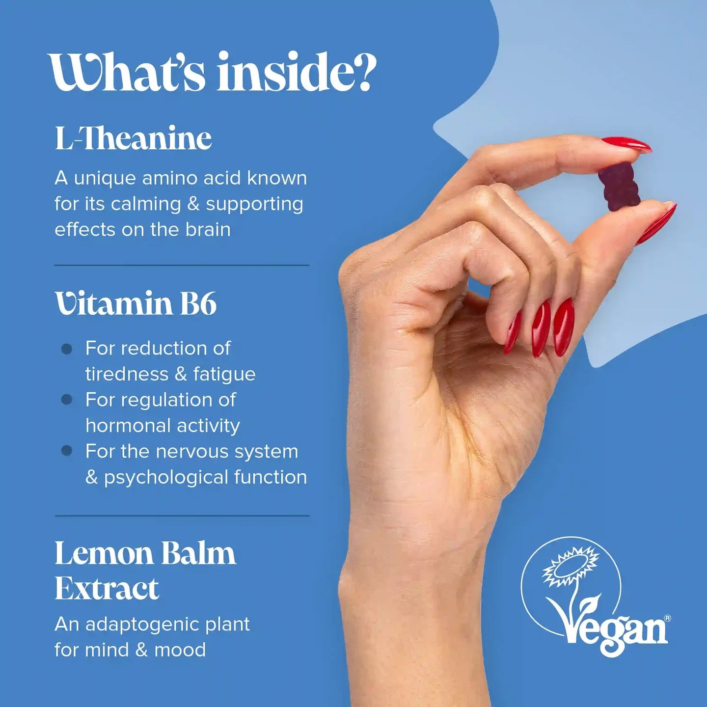 Kids L-Theanine Gummies