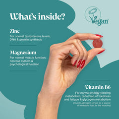 Novomins Zinc & Magnesium Gummies