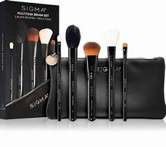 Sigma Multi Task Brush Set